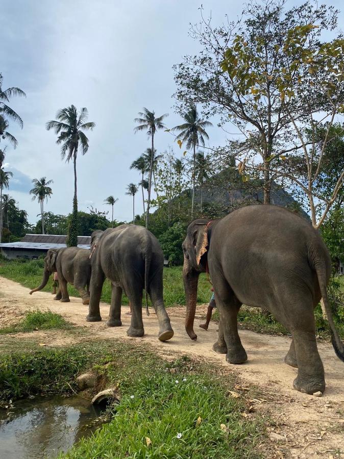 Amadha Villas Retreat - Free Tuk-Tuk Service To The Beach Ao Nang Esterno foto